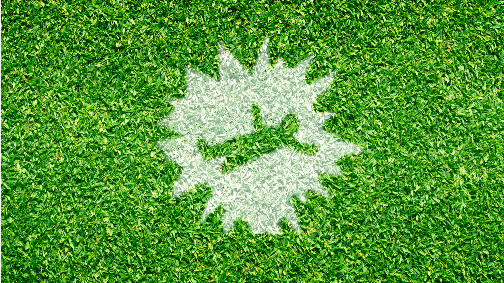 "SUPPORTED BY YOUR LOCAL WILDFLOWER MEADOW"